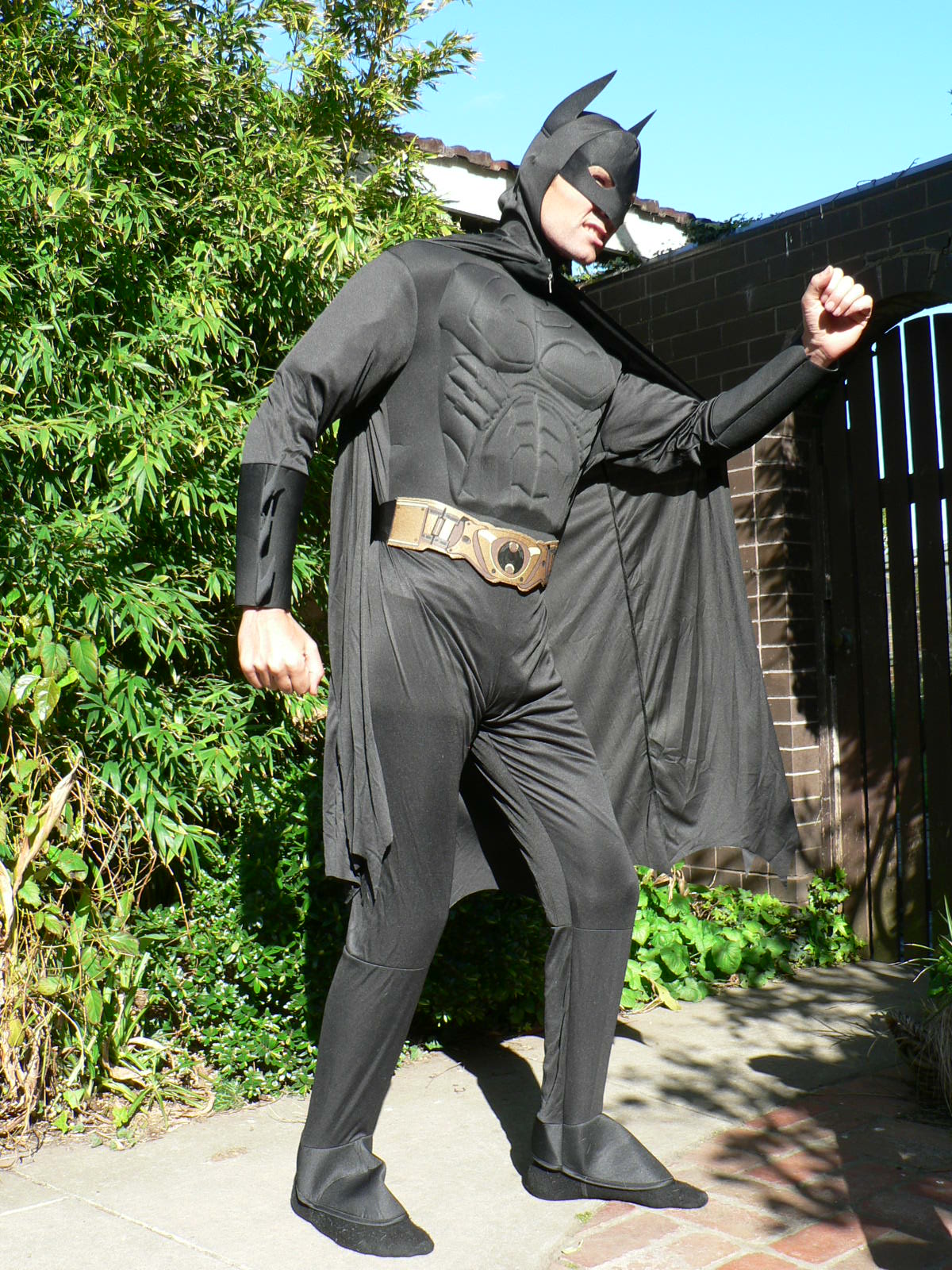 batman adult costume | Bam Bam Costume Hire